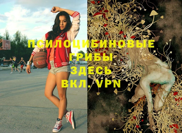 кокс Белокуриха
