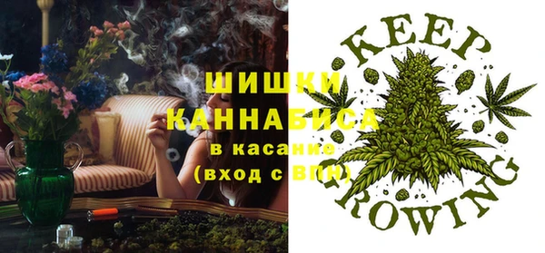 кокс Белокуриха