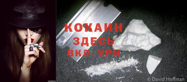 дживик Сосновка