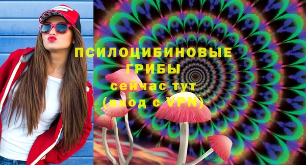 кокс Белокуриха
