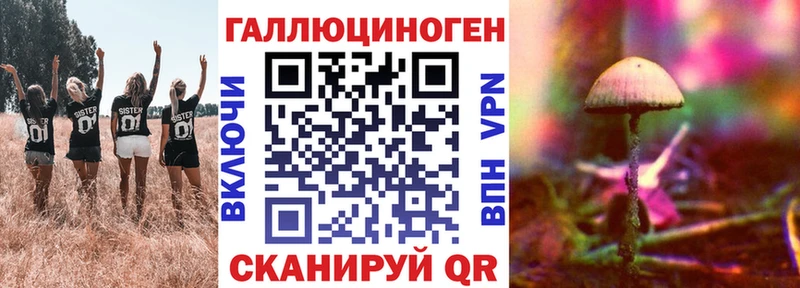 Галлюциногенные грибы Cubensis Губаха