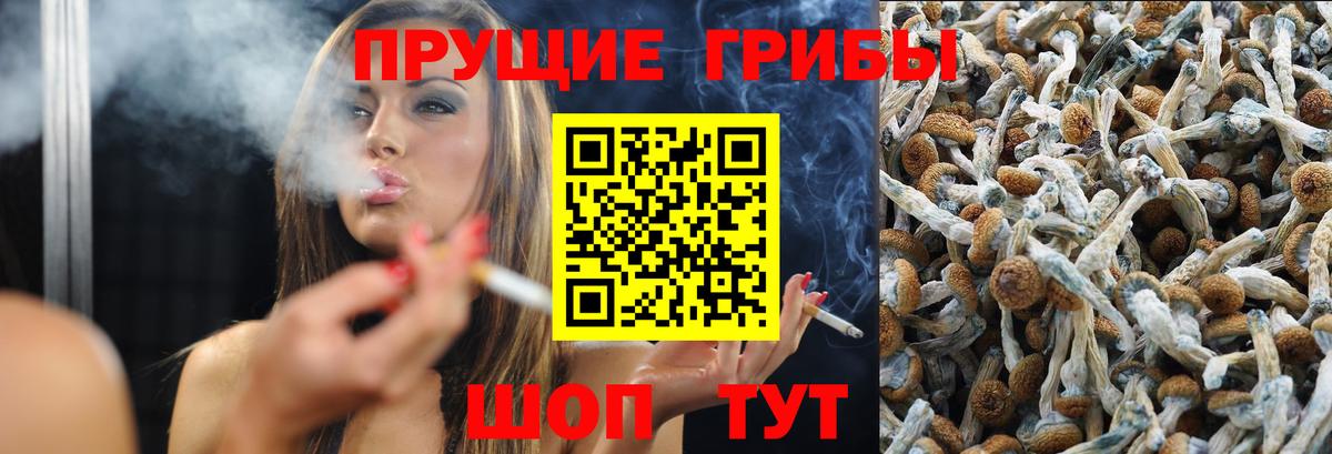 Псилоцибиновые грибы Magic Shrooms  Вход с VPN  Галлюциногенные грибы Psilocybe  Губаха 